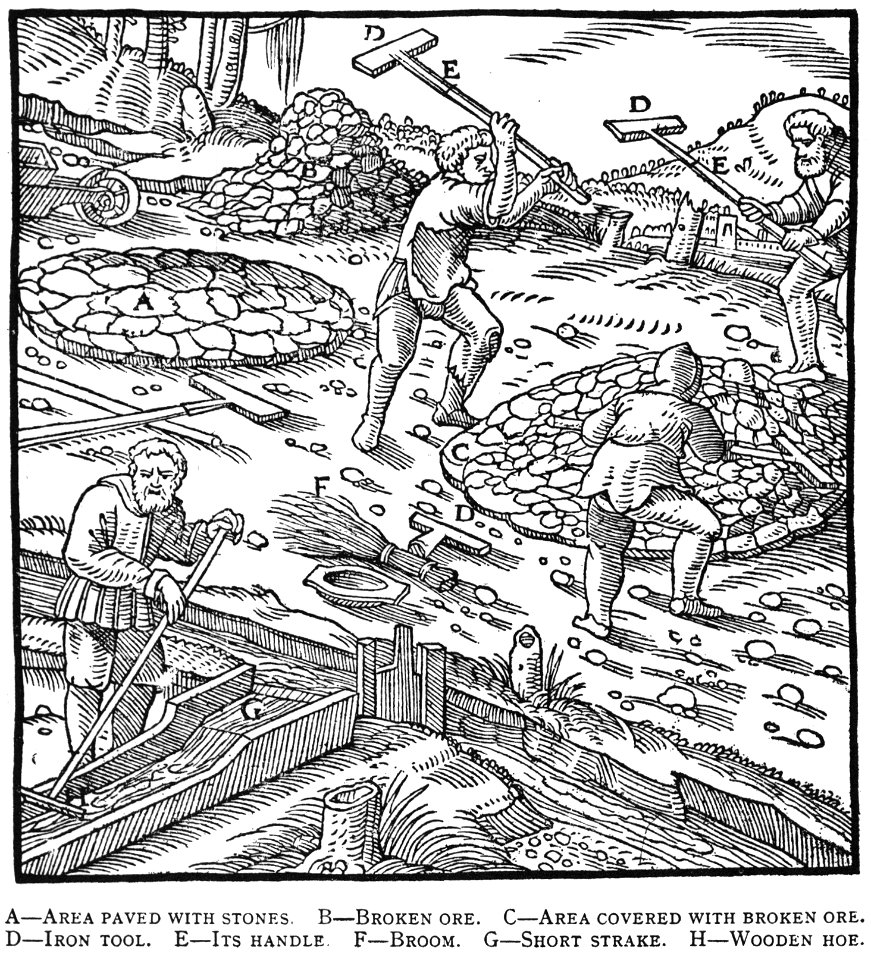 Book8-5