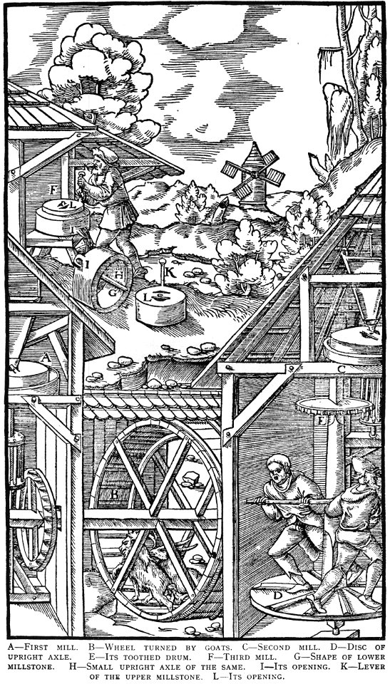 Book8-21