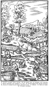 Book8-45