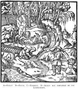 Book8-61