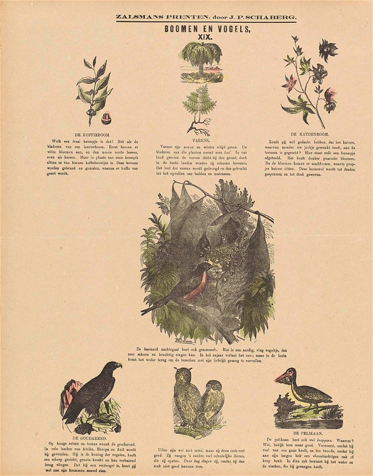 Boomen en vogels