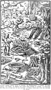 Book9-31