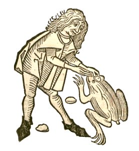 Borax-Krötenstein1