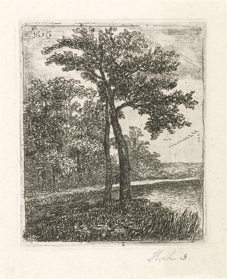 Boomrijk landschap met eenden