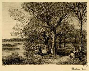 Bords du Gave - Fonds Ancely - B315556101 A LAFOND 3 020