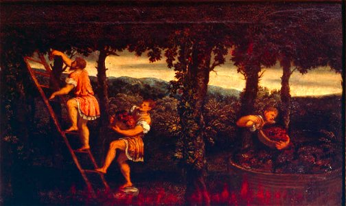 Bordon - Raccolta Uva - AccademiaCarrara
