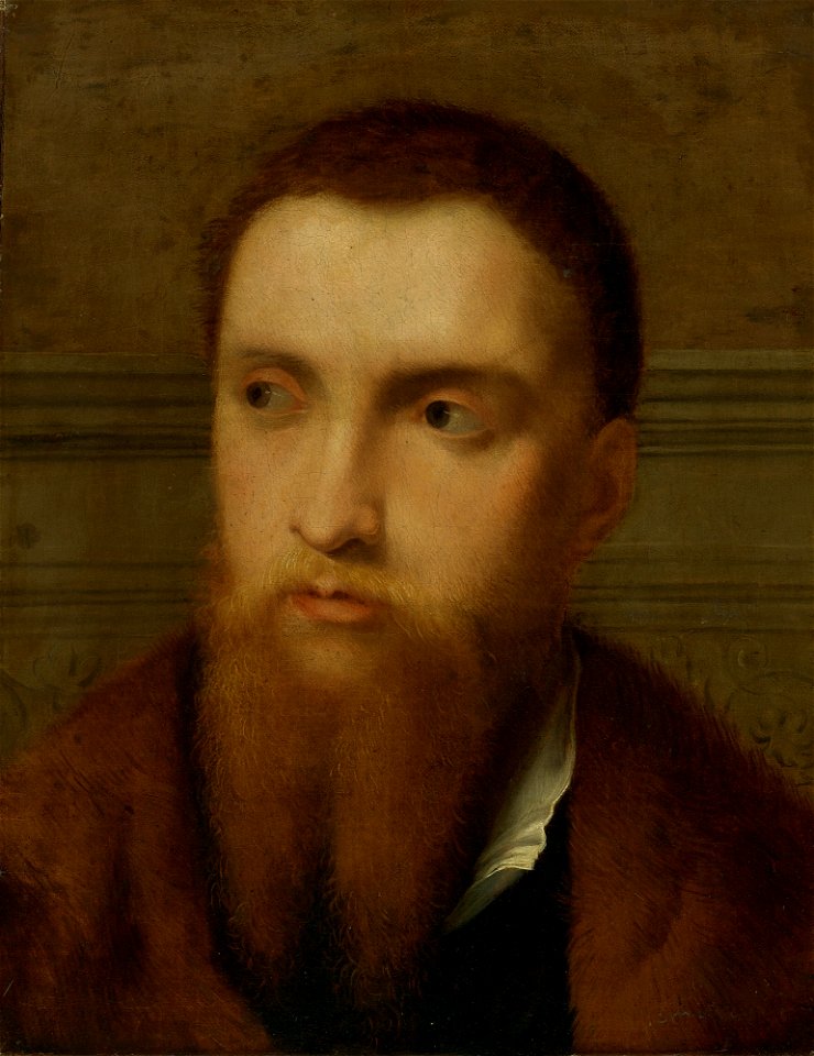 Paris Bordone - Ritratto di un uomo barbuto