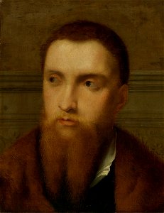 Paris Bordone - Ritratto di un uomo barbuto