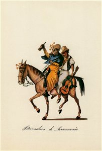 Borrachera de Amancais