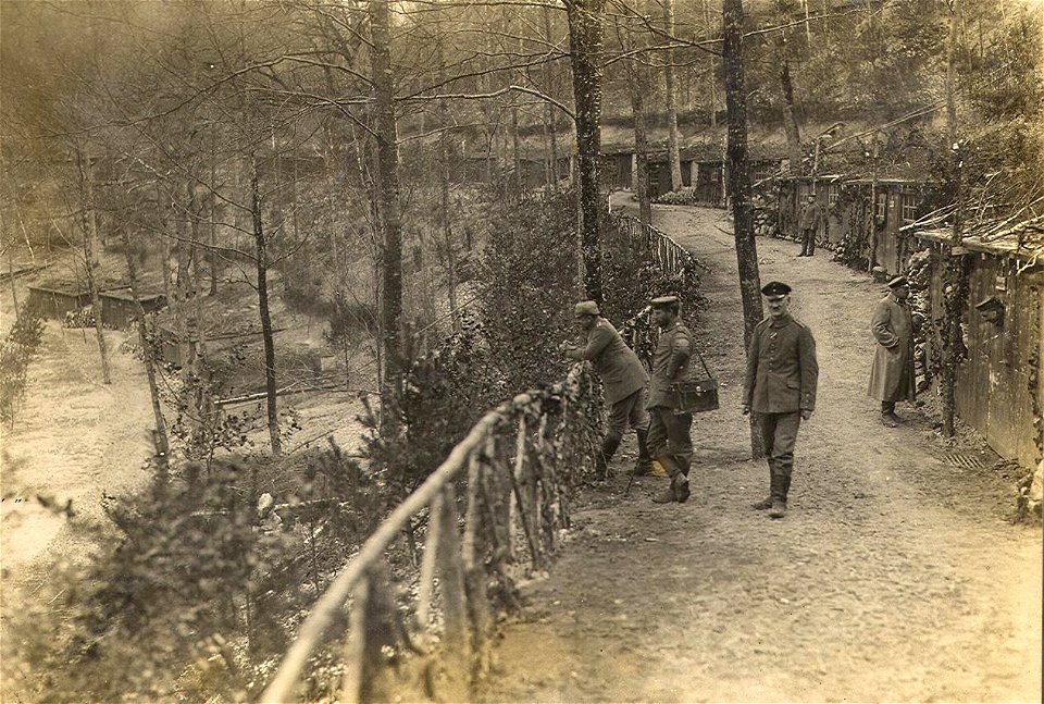 Borrieswald 001bis