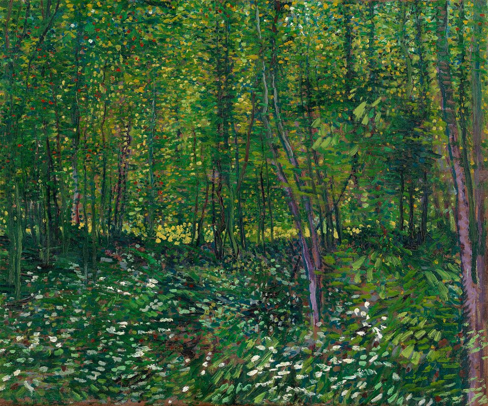 Bos met kreupelhout - s0066V1962 - Van Gogh Museum