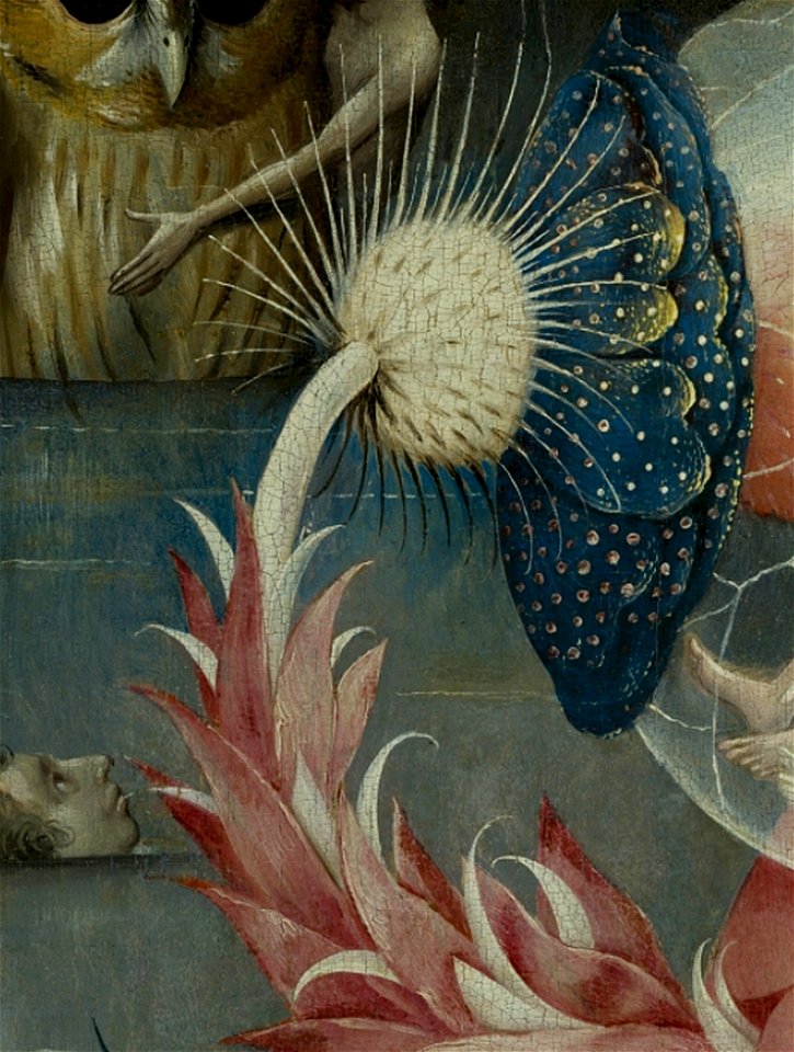 Bosch, Hieronymus - The Garden of Earthly Delights, central panel - Detail Large flower lower left
