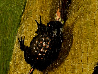 Bosch, Hieronymus - The Garden of Earthly Delights, right panel - Detail Beetle. Free illustration for personal and commercial use.