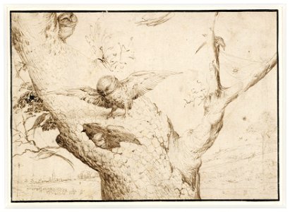Jheronimus Bosch - The Owl's Nest - Google Art Project