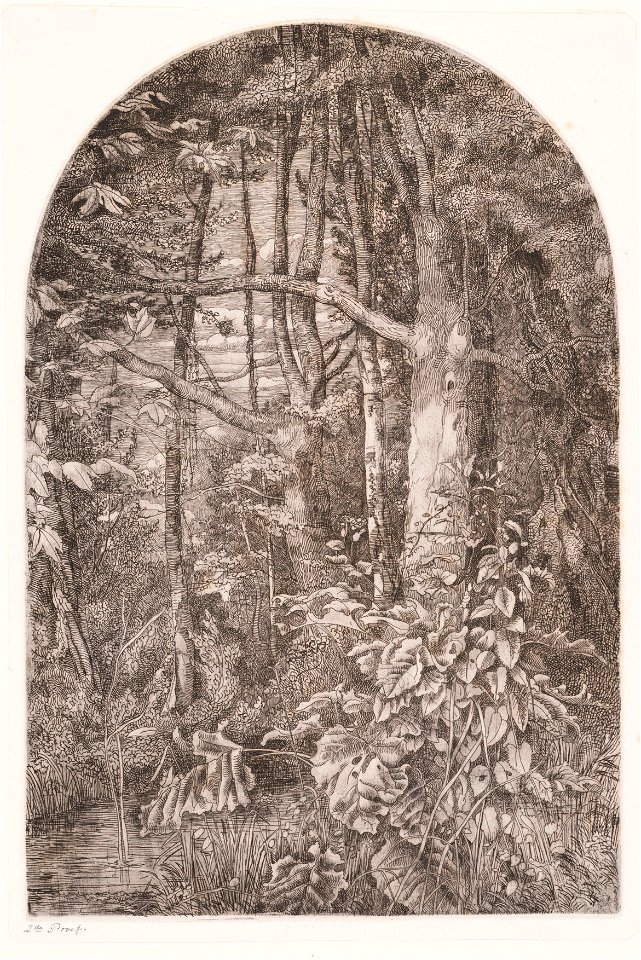 Bosgezicht, objectnr A 12271
