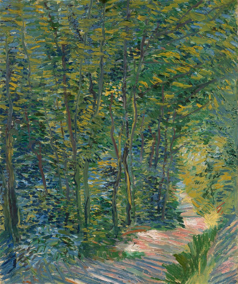 Bospad - s0080V1962 - Van Gogh Museum