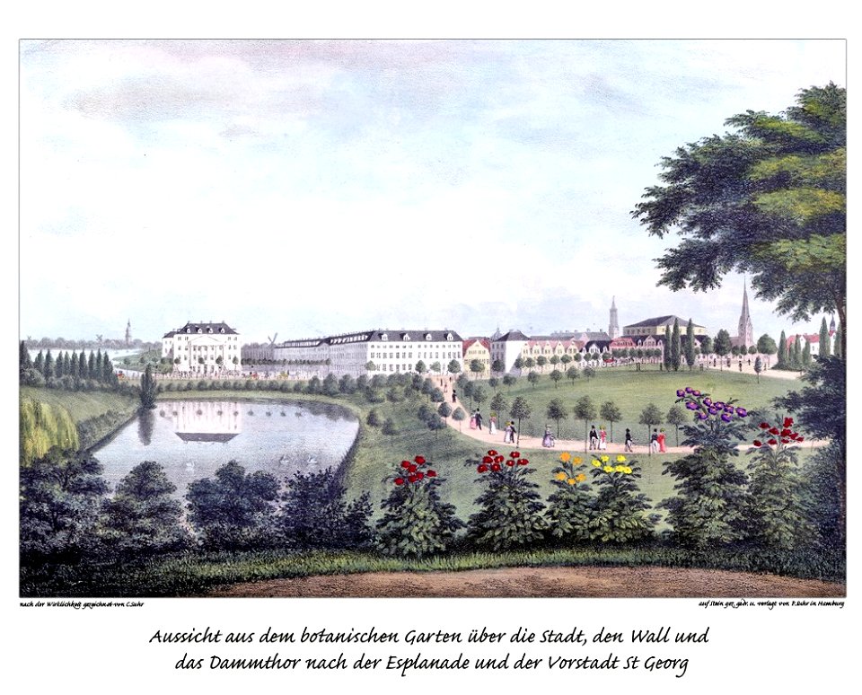 Botanischer Garten Hamburg 19. Jh. by Suhr