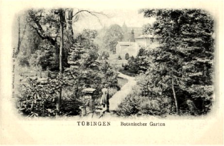 Botanischer Garten (AK E191 H Sting um 1900)