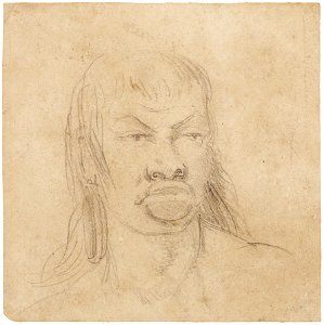 Botocudo Indian, da Coleção Brasiliana Iconográfica