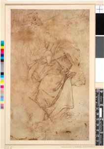 Botticelli - After - The Virgin and Child, after Botticelli, 1895,0915.449, 1459-1510