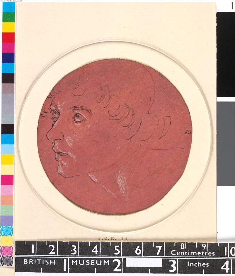 Botticelli - Head of a youth almost in profile to left, 1895,0915.450, 1475-1485 (circa)