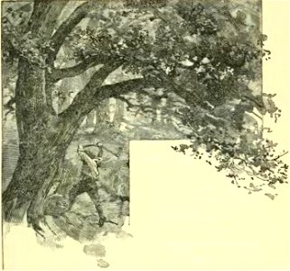 Botrel - Chansons en sabots, 1912 (page 33 crop)