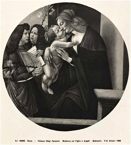 Botticelli - bottega - Madonna con Bambino e angeli, inv. 243. Free illustration for personal and commercial use.