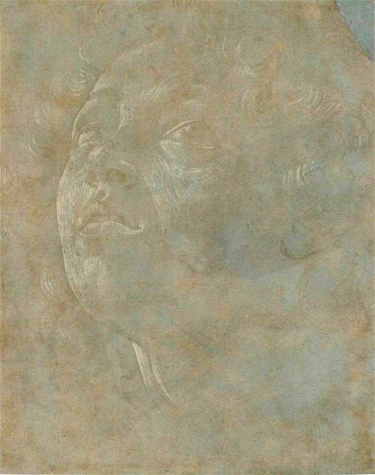 Botticelli - Kopf eines Knaben (recto), C 41
