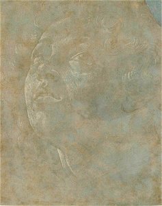Botticelli - Kopf eines Knaben (recto), C 41