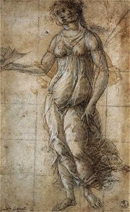 Botticelli, disegno per la pallade. Free illustration for personal and commercial use.