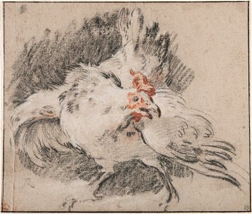 Boucher - Study of a Rooster, NMH 2952-1863