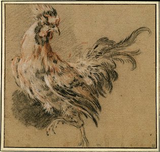 Boucher - Study of a Rooster, NMH 2953-1863