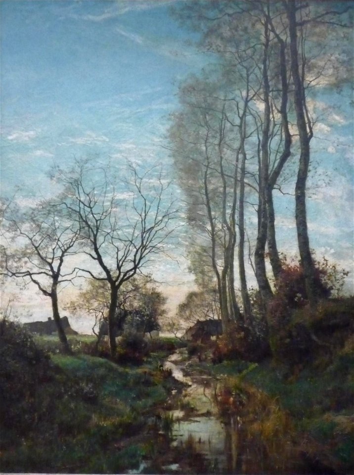 Boulenger Landscape