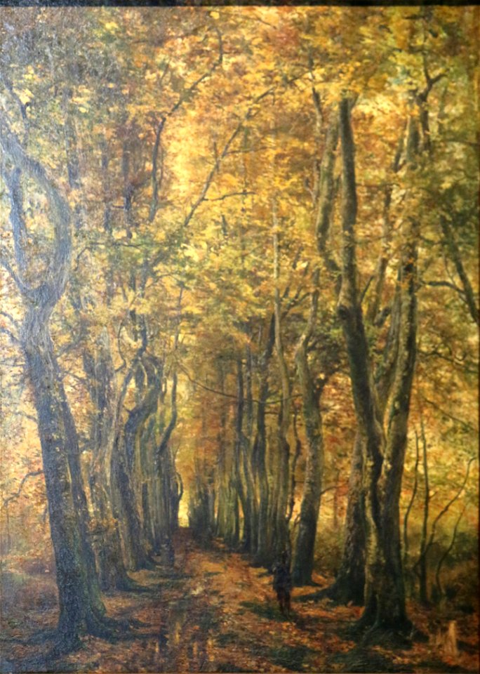 Boulenger-vieux charmes