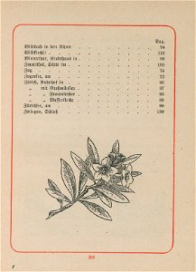 CH-NB-200 Schweizer Bilder-nbdig-18634-page415