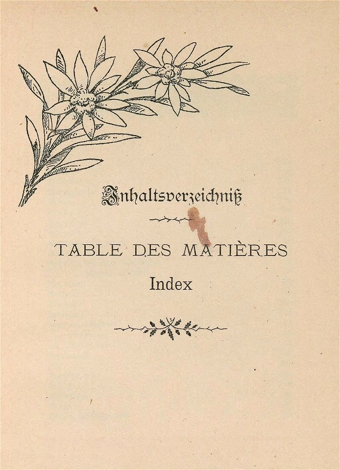 CH-NB-200 Schweizer Bilder-nbdig-18634-page407