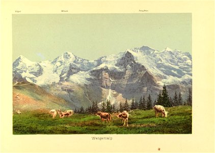 CH-NB-Souvenir de l'Oberland bernois-nbdig-18025-page031