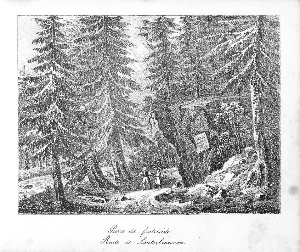 CH-NB-La Suisse en miniature-19522-page069