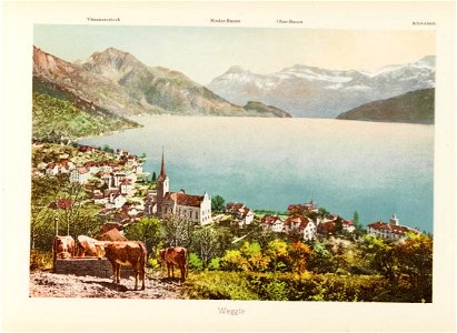 CH-NB-Souvenir du Lac des Quatre Cantons-19327-page011