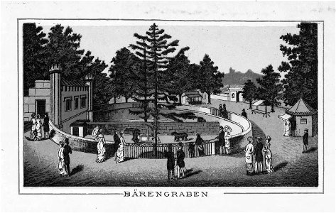 CH-NB-Souvenir de l'Oberland bernois-nbdig-18220-page006
