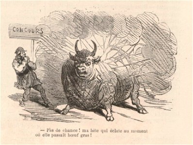CHAM - Boeuf Gras 1869 - Le Monde illustré - 6 février 1869 - Boeuf explose. Free illustration for personal and commercial use.