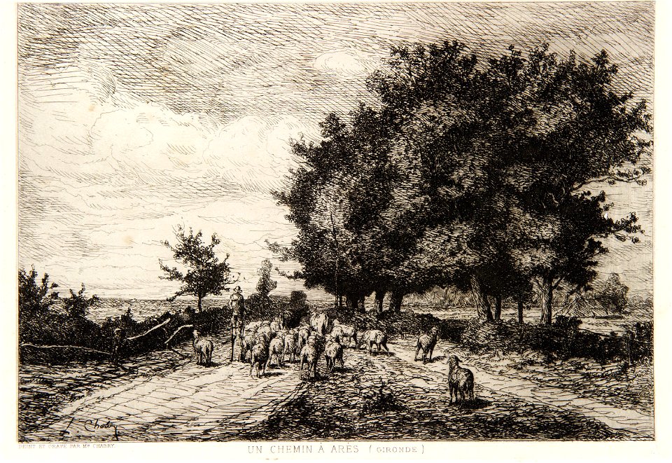 Chabry Léonce - Un chemin à Arès (Gironde)