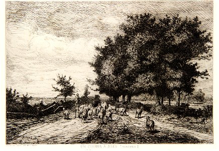Chabry Léonce - Un chemin à Arès (Gironde)