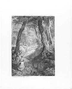 CH-NB-Voyage autour du Mont-Blanc dans les vallées d'Hérens de Zermatt et au Grimsel 1843-nbdig-19161-008