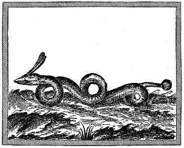 Champlain - Oeuvres de Champlain publiées sous le patronage de l'Université Laval, Tome 1, 1870 - planche - 046