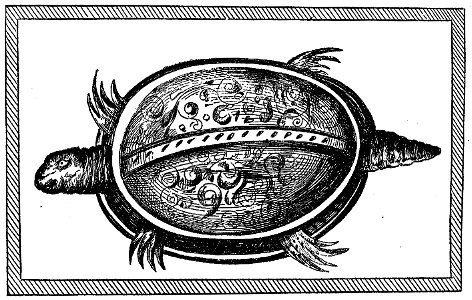 Champlain - Oeuvres de Champlain publiées sous le patronage de l'Université Laval, Tome 1, 1870 - planche - 050