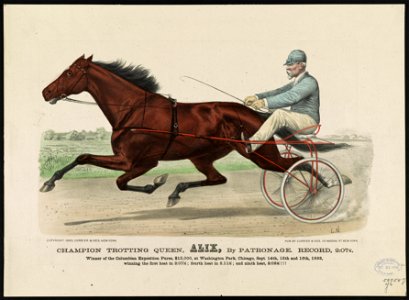 Champion trotting Queen, Alix, by patronage record, 2-07 3-4- Winner of the Columbian Exposition Purse $15,000, at Washington Park, Chicago, Sept. 14th, 15th and 16th, 1893, winning the LCCN90715812. Free illustration for personal and commercial use.