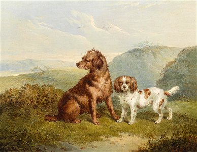 Charles Jones Two dogs 1857