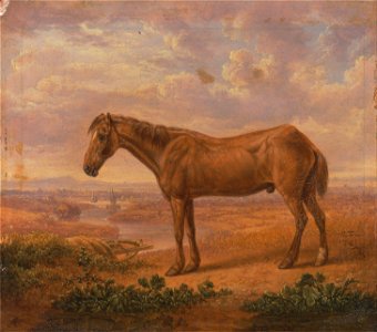 Charles Towne - Old Billy, a Draught Horse, Aged 62 - Google Art Project. Free illustration for personal and commercial use.
