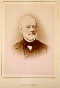 Charles Schmidt (1812-1895)